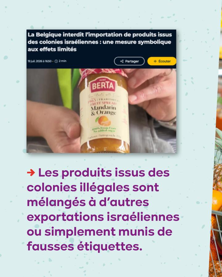 → Les produits issus des colonies illégales sont mélangés à d’autres exportations israéliennes ou simplement munis de fausses étiquettes