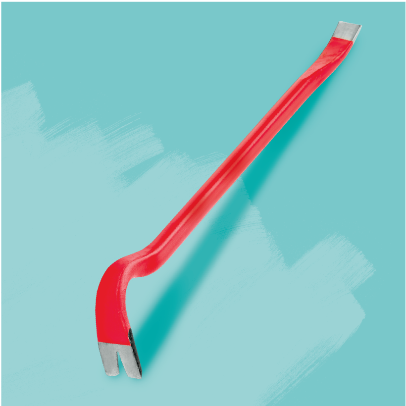 Un pied-de-biche rouge