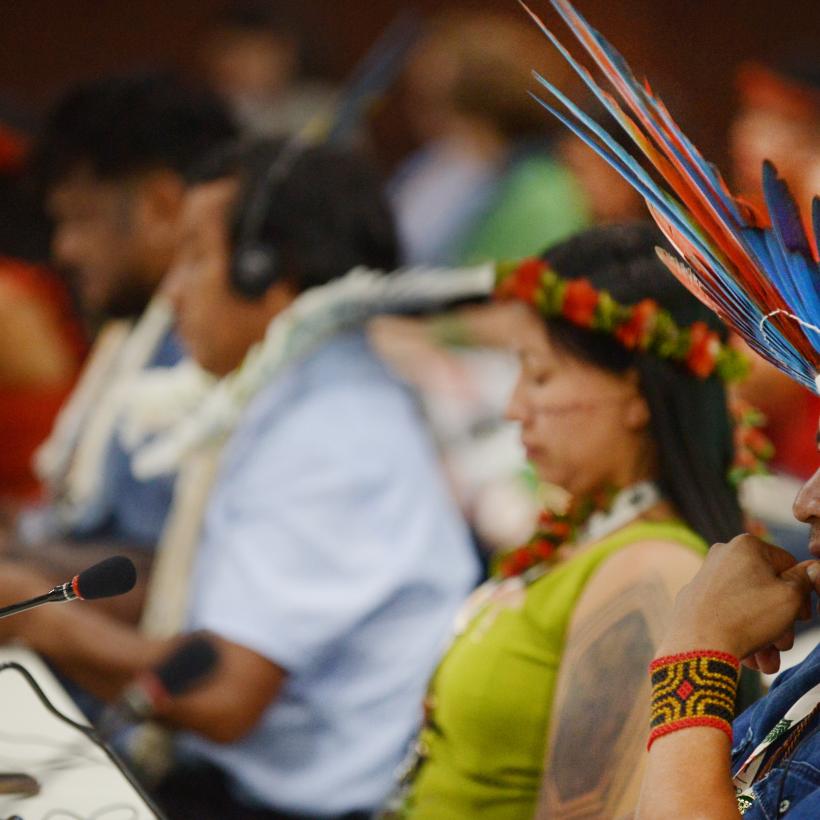 COP30 au Brésil. (Photo Antonio Scorza)
