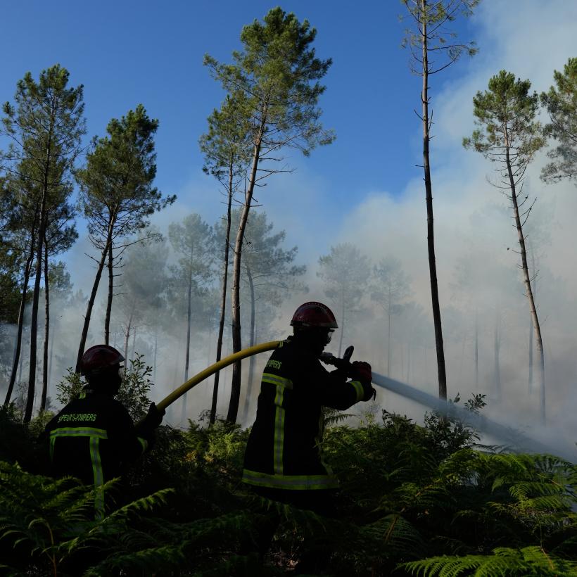 Des pompiers tentent de maîtriser un incendie de forêt près de Bordeaux, le 27 juillet 2026