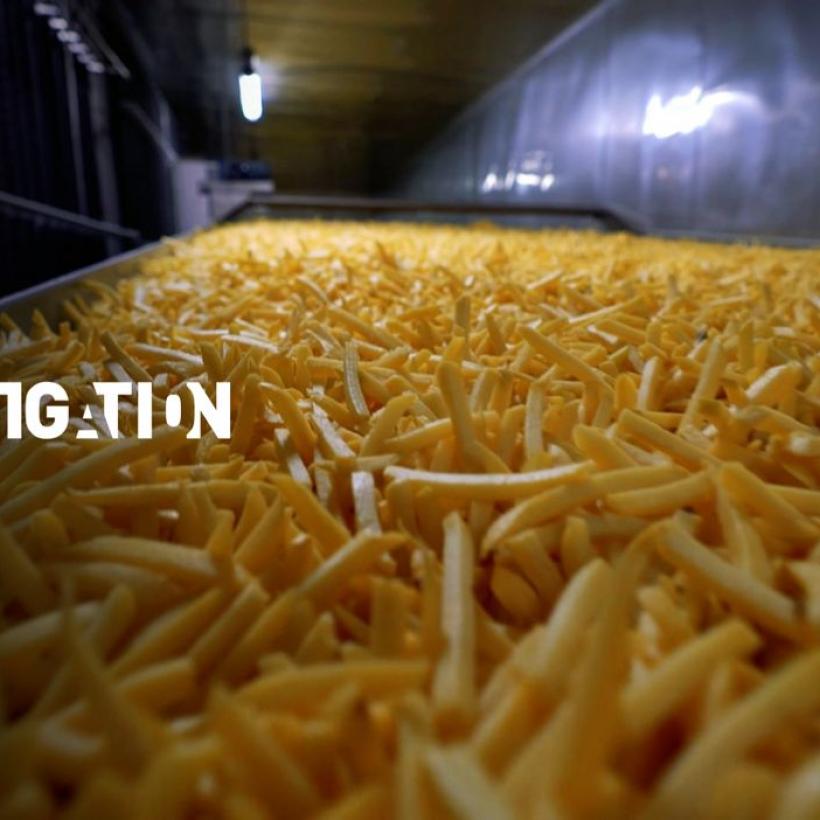 Le PTB demande une commission d'urgence au parlement wallon sur les conditions de travail chez Clarebout et Mydibel