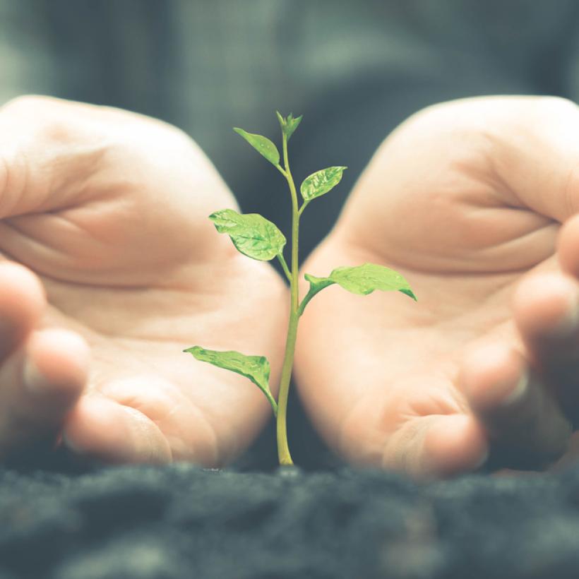 Le Plan pour l’avenir du PTB: 10 milliards d’investissements publics pour le social et le climat