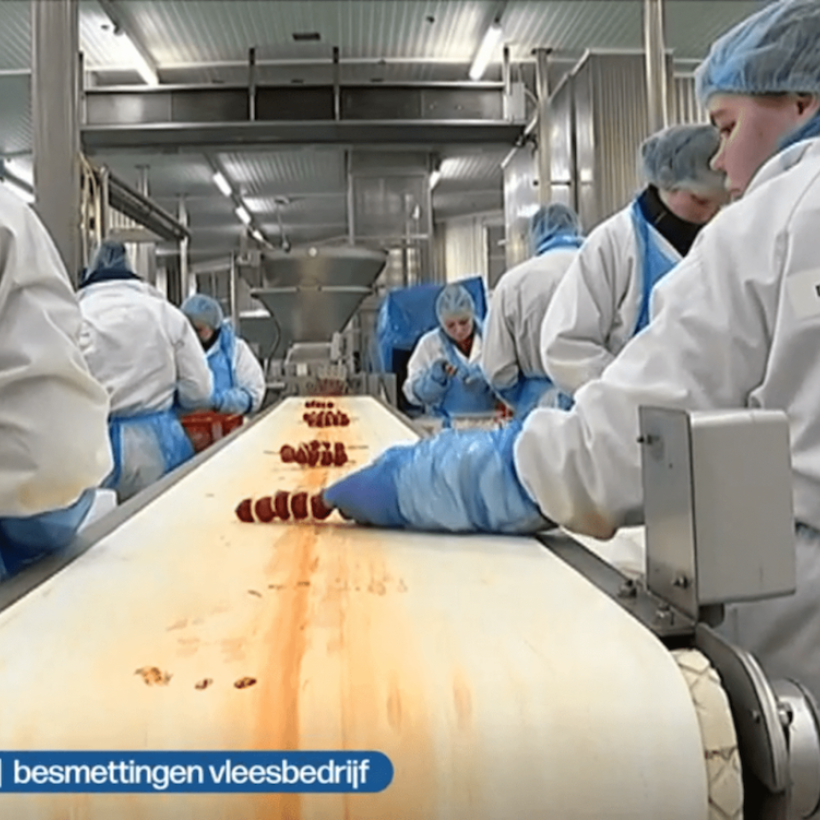 L’abattoir Westvlees a-t-il fermé les yeux sur la propagation du virus pour faire plus de profits ?