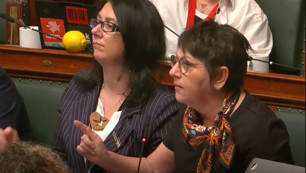 Nadia Moscufo à la Chambre