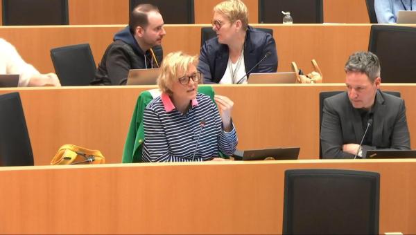 Sofie Merckx en commission à la Chambre