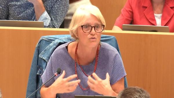 Sofie Merckx pendant son intervention dans la commission